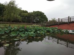 -东方绿舟景区