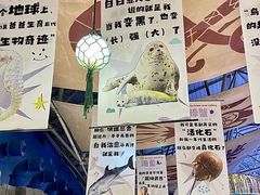 -海合安青岛极地海洋公园