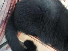 -糯米喵星人·撸猫猫舍咖啡馆(西市场嘉华店)