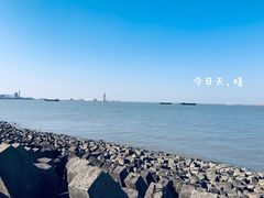 -上海滨江森林公园
