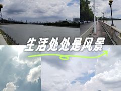-小洲村