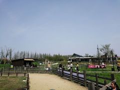 -田园东方蜜桃村的田野营地