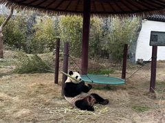 -杭州野生动物世界