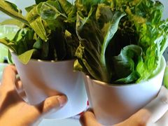 -钢管厂五区小郡肝串串香火锅(梅川路店)