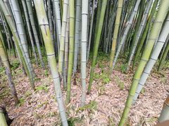 -汇龙潭