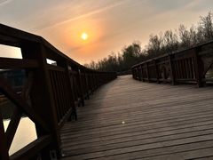 -西安浐灞国家湿地公园