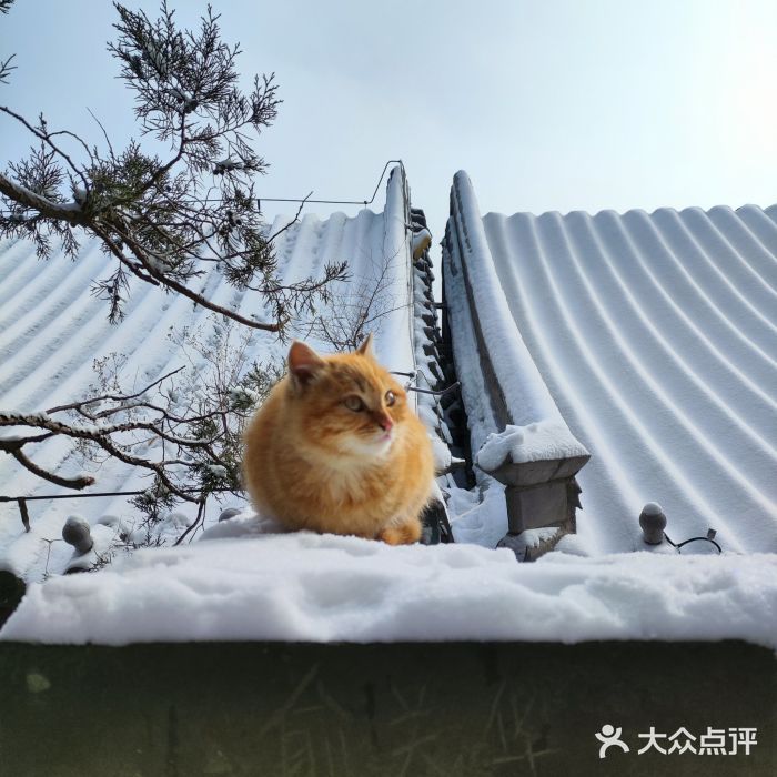 八达岭长城图片