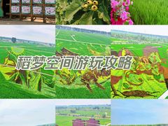 -稻梦空间