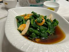 捞汁鲜虾豌豆尖-功德林素菜饭庄(前门店)