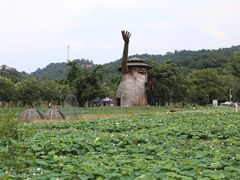 -红山村