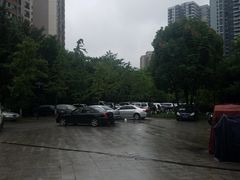 -重庆彩云湖湿地公园