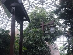 -瑞阁温泉酒店温泉中心