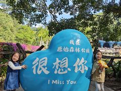 -西双版纳原始森林公园