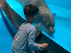 -泉城欧乐堡海洋极地世界