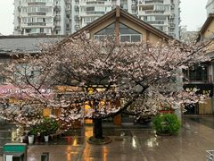 -许府牛火锅(信义坊总店)