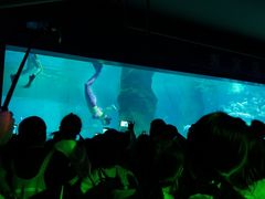 -北戴河圣蓝海洋公园