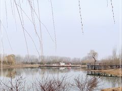 -东郊湿地公园
