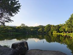 -莲花山公园