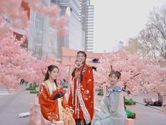 -金茂览秀城