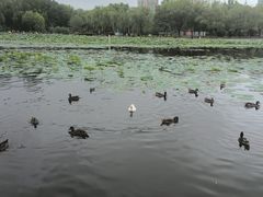 -太阳宫公园