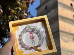 -大慈恩寺(大雁塔)