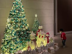 -The lounge 柏悦酒店大堂酒廊(上海环球金融中心店)