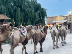 -镇北堡西部影城