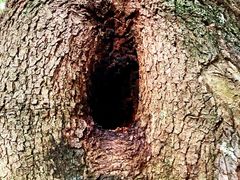 -成都市活水公园