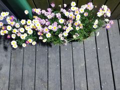 -卯火锅(人和协信店)