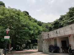 -天鹿湖森林公园
