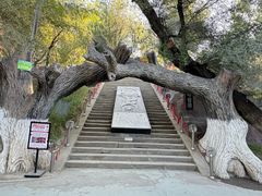 -水磨沟公园