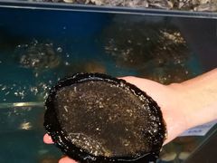 -同乐酒楼(皇后镇店)