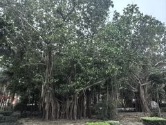 -北海市海滨公园