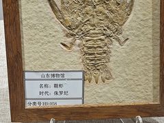-烟台市博物馆
