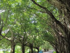 -人民公园(罗湖区)