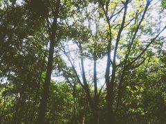 -重庆彩云湖湿地公园