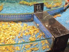 -东方御花园酒店