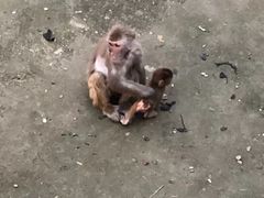 -无锡动物园·太湖欢乐园