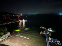 -广东惠东海龟国家级自然保护区