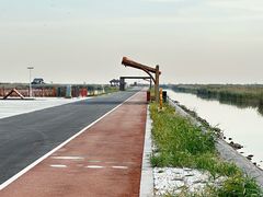 -南大港湿地风景区