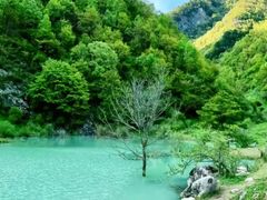 -石台牯牛降景区