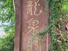 -龙泉洞(沙坪坝区)