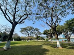 -白鹭洲公园
