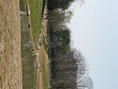 景点-后襄河公园