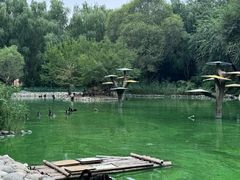 -北京野生动物园