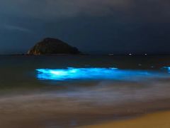 -西涌国际滨海旅游区