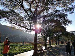 -广州市石门国家森林公园