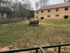 -大连森林动物园