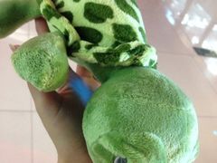 iphone_upload_pic-星悦蓝海欢乐园(石路天虹店)