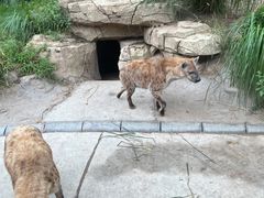 -北京野生动物园